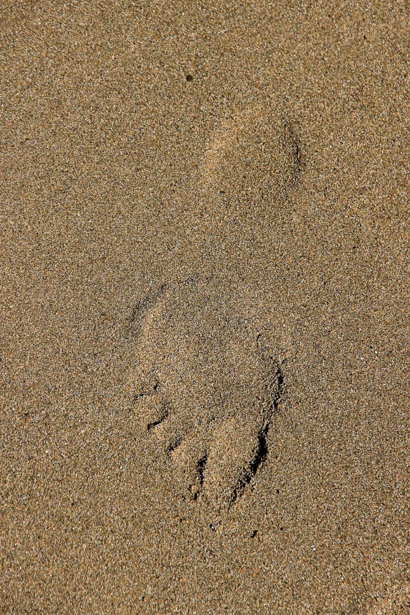 Mehr über den Artikel erfahren Eigendiagnose Plantarfasziitis.
